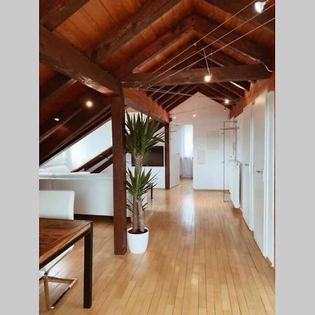 Апартаменты *Dreilaendereck* Wifi+ Balkon+Garage Basel Mulhouse Maulburg Экстерьер фото