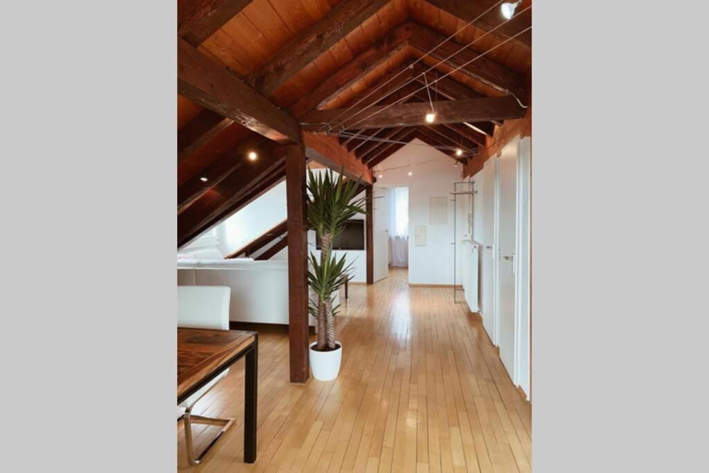 Апартаменты *Dreilaendereck* Wifi+ Balkon+Garage Basel Mulhouse Maulburg Экстерьер фото