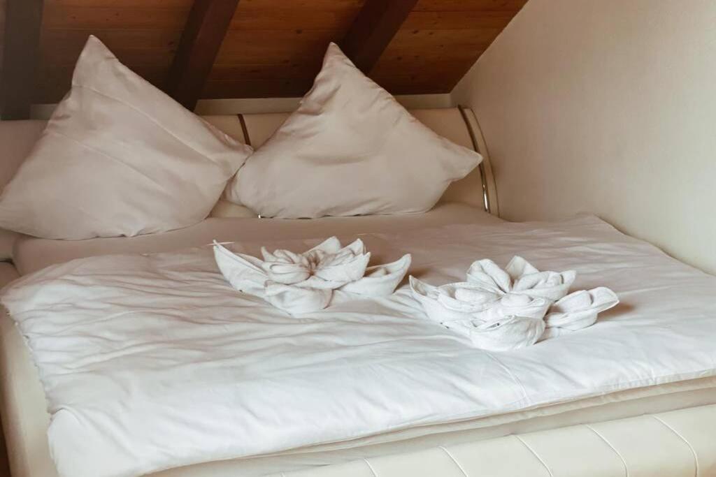 Апартаменты *Dreilaendereck* Wifi+ Balkon+Garage Basel Mulhouse Maulburg Экстерьер фото