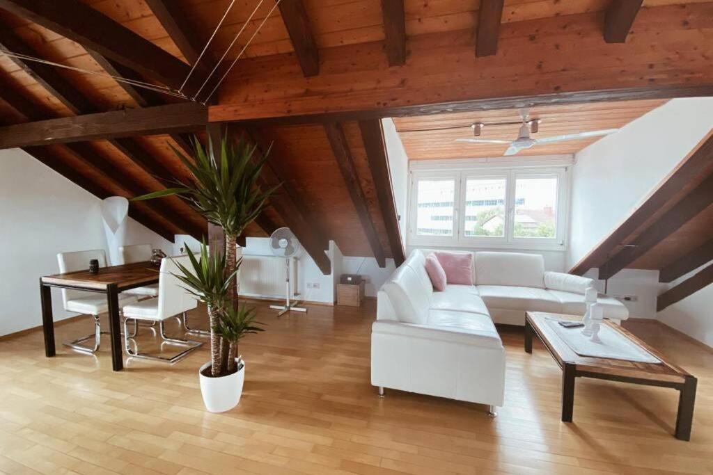 Апартаменты *Dreilaendereck* Wifi+ Balkon+Garage Basel Mulhouse Maulburg Экстерьер фото